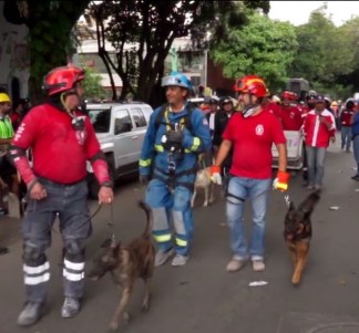 WhatsApp Image 2017-11-08 at 7.19.12 AM