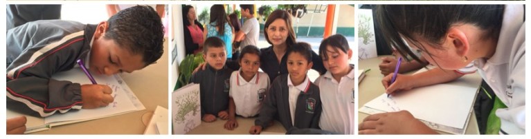 WhatsApp Image 2017-12-21 at 09.54.27