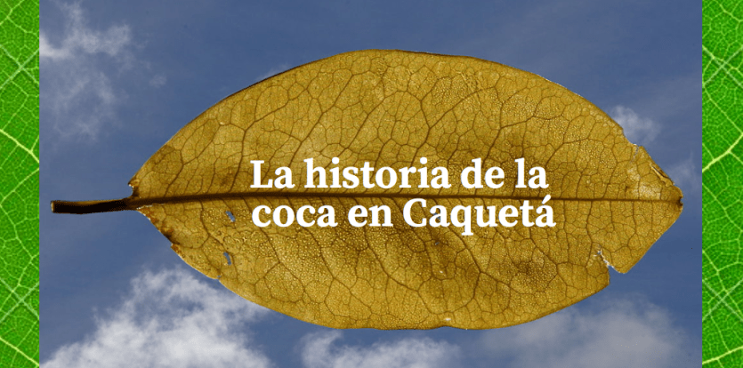 coca en caq