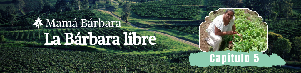 Mamá Bárbara(17)