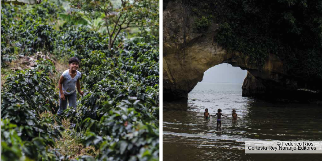 Verde tierra calcinada © Federico Ríos. Cortesía copia