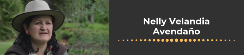 Nelly Velandia.png