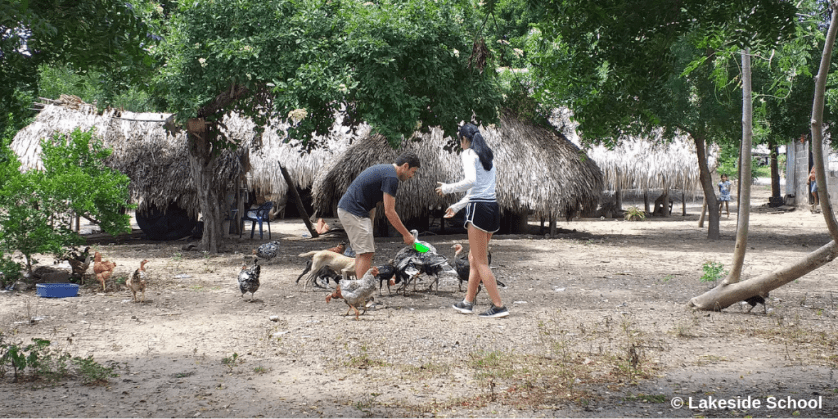 @diariodepazcol(1) copia.png