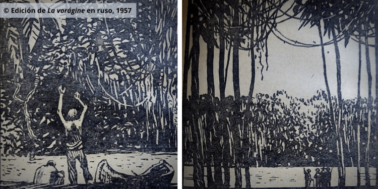 © diariodepazcol(9).png