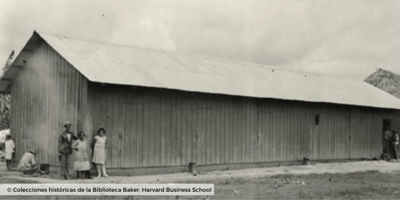 © Plantaciones de banano_colecciones harvard business school 3