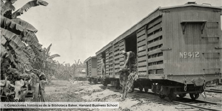 © Plantaciones de banano_colecciones harvard business school 4