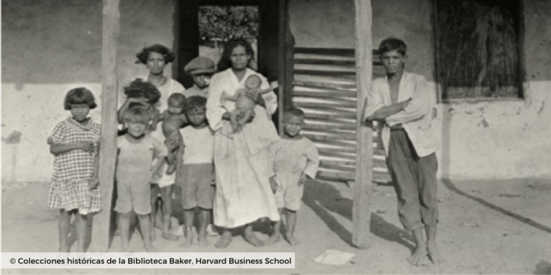 Plantaciones de banano_colecciones harvard business school 3