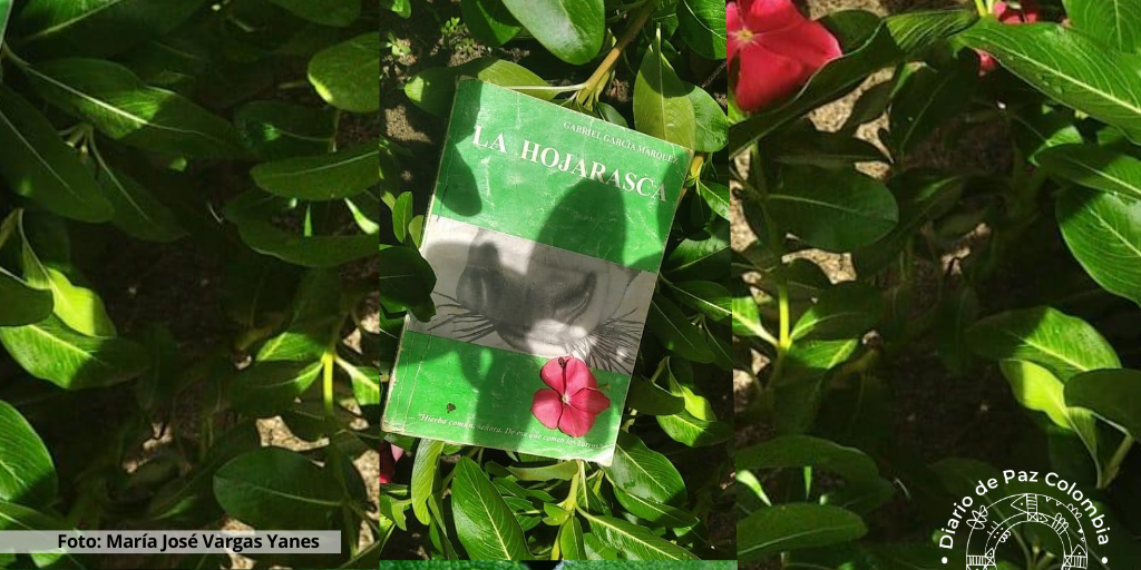 La hojarasca_Diario de Paz Colombia